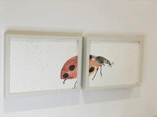 Cargar imagen en el visor de la galería, Díptico Mariquitas - Animal. Acuarela original.