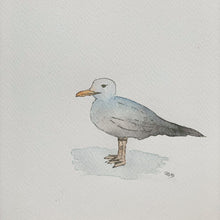 Cargar imagen en el visor de la galería, Gaviota - Animal. Acuarela original