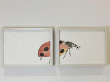 Cargar imagen en el visor de la galería, Díptico Mariquitas - Animal. Acuarela original.