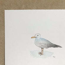 Cargar imagen en el visor de la galería, Gaviota - Animal. Acuarela original