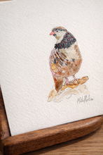 Cargar imagen en el visor de la galería, Perdíz en acuarela
