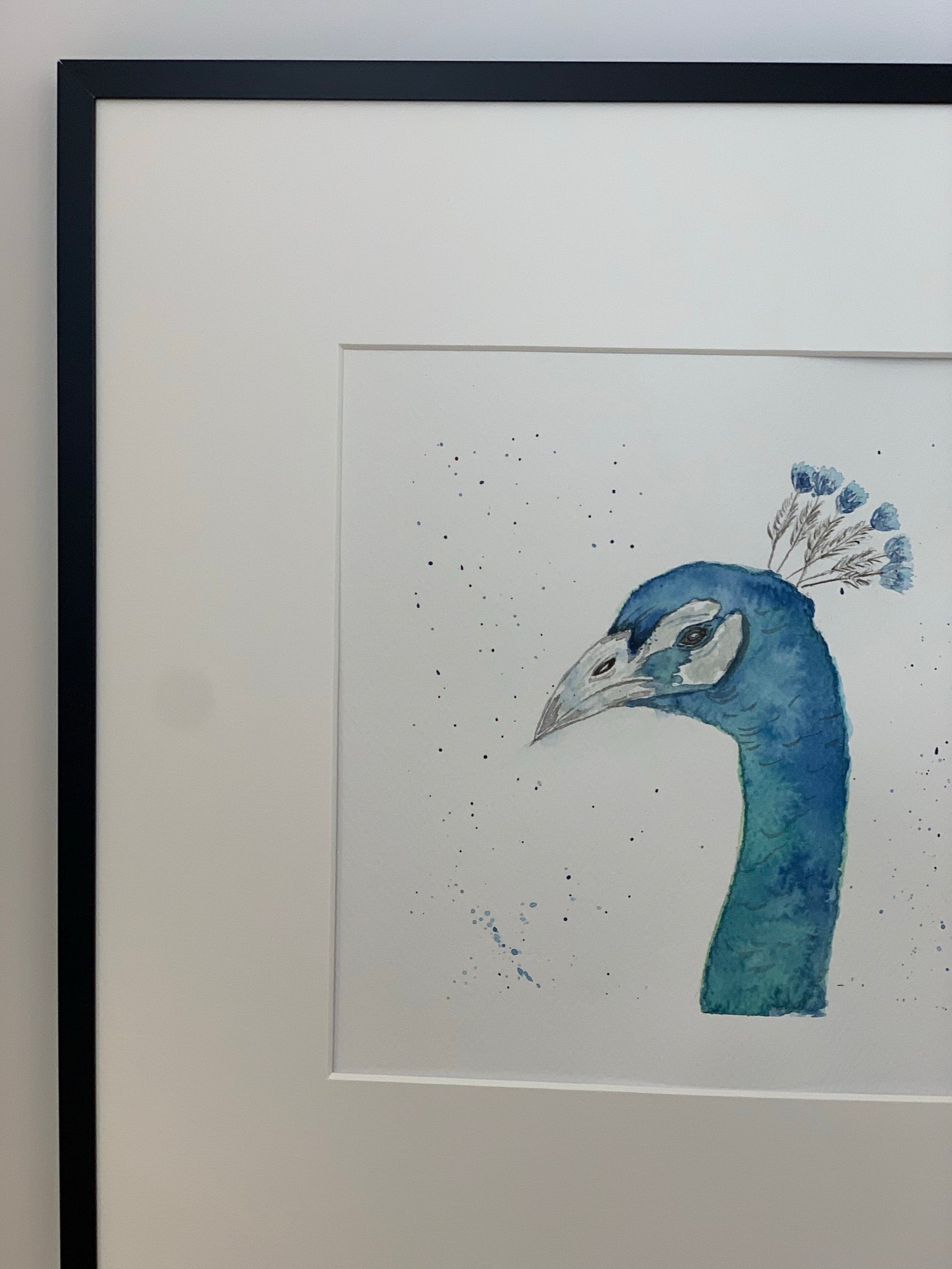 Acuarela original arte de aves pavo real plumas 5 x 7 -  España