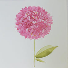 Cargar imagen en el visor de la galería, Hortensia en solitario - flores en acuarela
