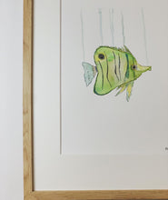 Cargar imagen en el visor de la galería, Pez verde - Animal marino. Acuarela original
